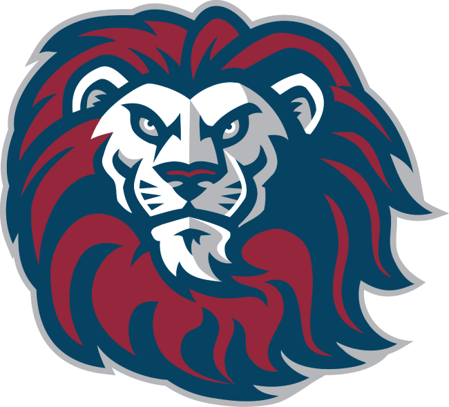 Loyola Marymount Lions 2001-Pres Alternate Logo v4 diy fabric transfer